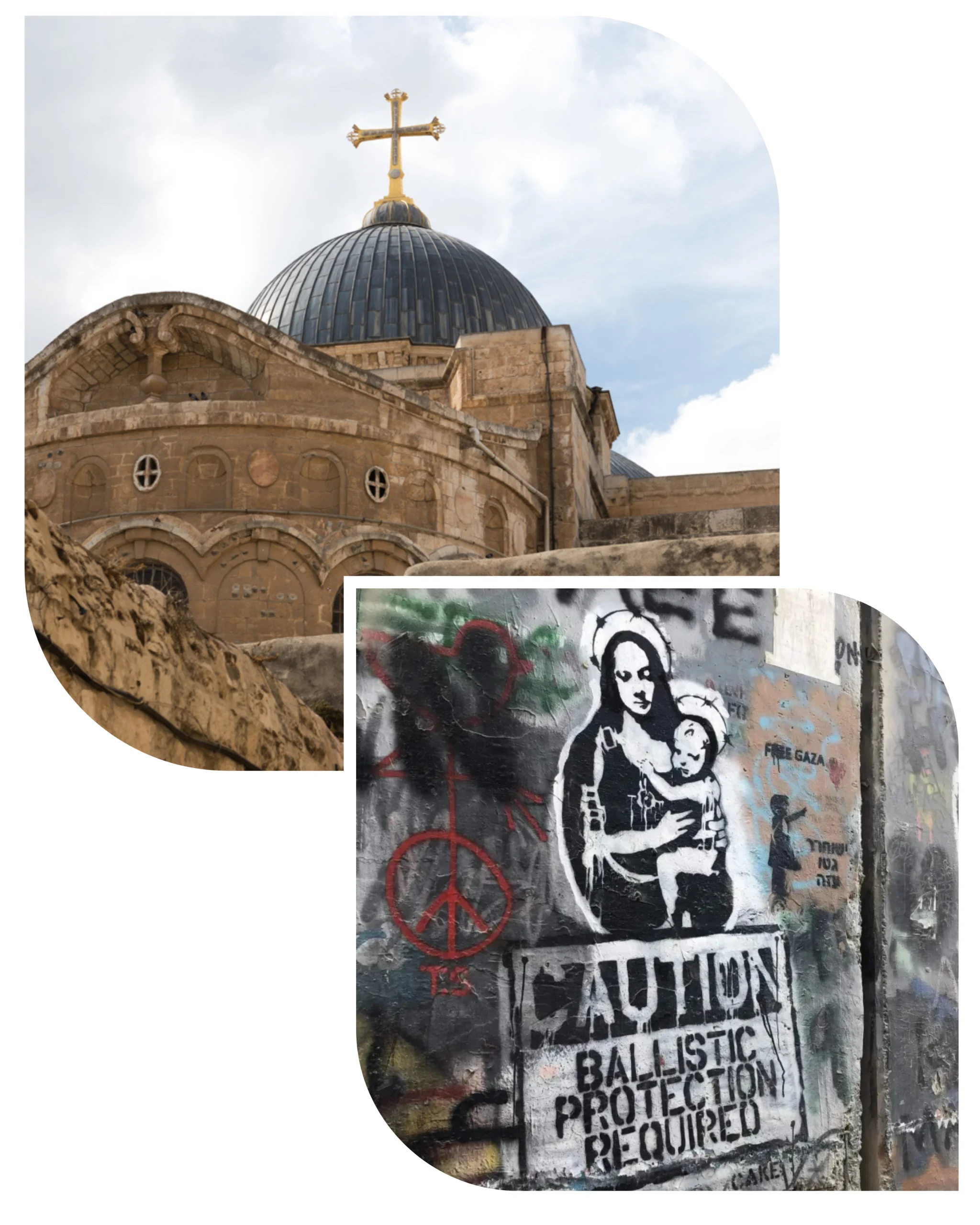 Untitled design (24)